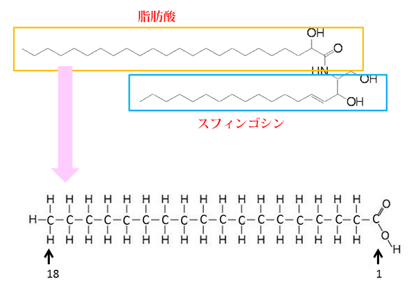 長鎖脂肪酸