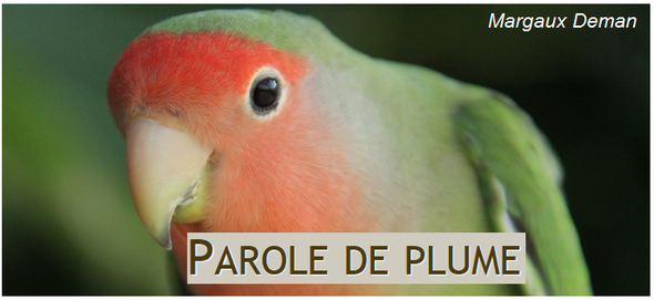 Comportementaliste aviaire