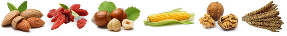 Friandises pour perruches et perroquets