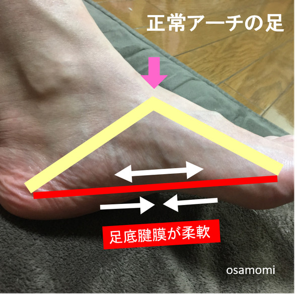 オサモミ整体院 アーチ構造
