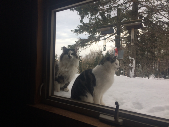 The snow's still really deep!