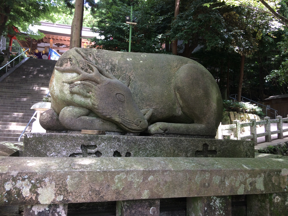 枚岡神社(筆者撮影)