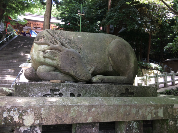 枚岡神社（筆者撮影）