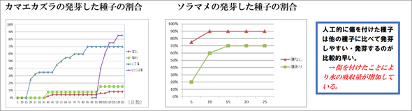 ※クリックすると拡大します。