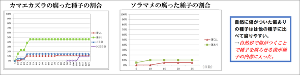 ※クリックすると拡大します。