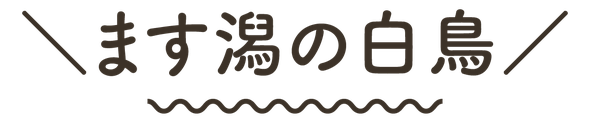升潟（新潟県新発田市五十公野公園）の白鳥