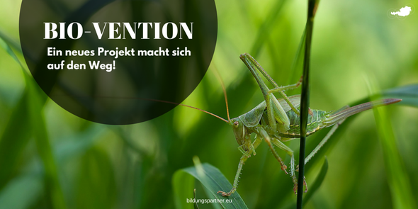 Bildugspartner, Outdoorpädagogik, Natur, biologisch