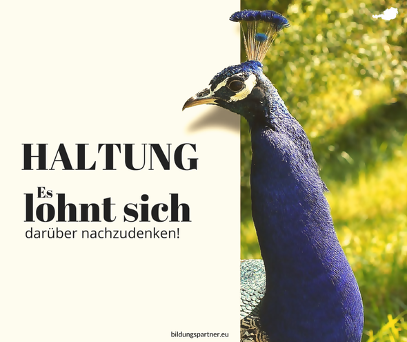 Existenzgründung, Startup, Selbstständigkeit, Persönlichkeit, Entwicklung, Karriere