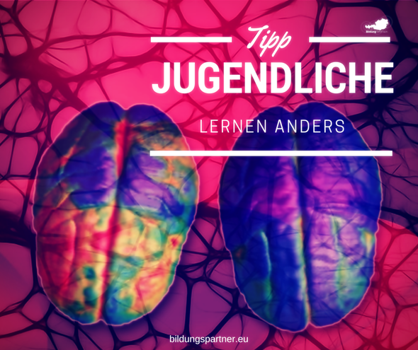 Lernen, Jugendliche, Gehirn, Pubertät, Adoleszenz, Pubertierende