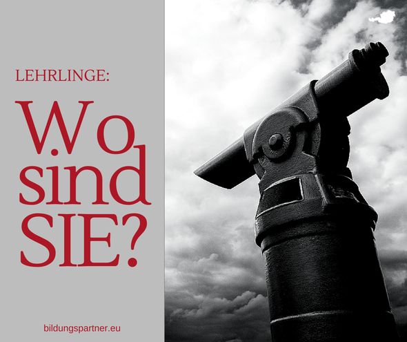 Lehrlinge: Wo sind sie?