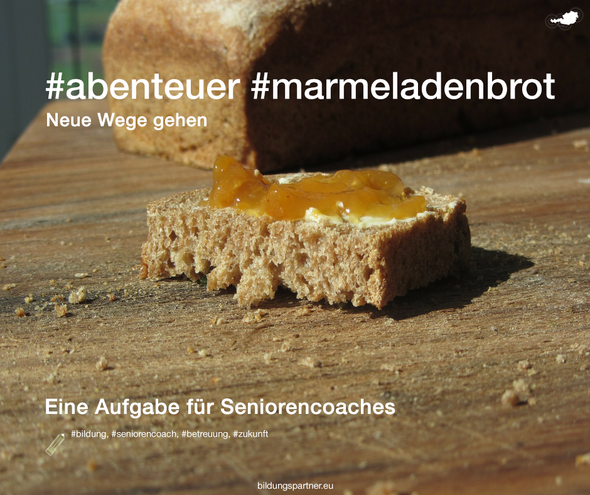 Seniorencoach Bildungspartner