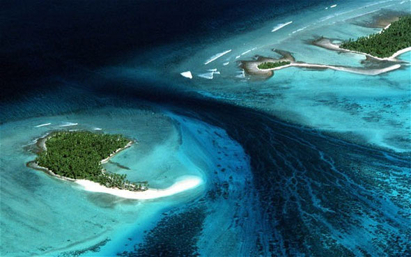 The low-lying Pacific nation of Kiribati is negotiating to buy land in Fiji so it can relocate islanders under threat from rising sea levels.