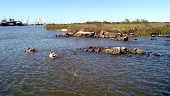 Tim Osborn/National Oceanic and Atmospheric Association -  Rising sea levels near Leeville, La., during the past 100 years have left this 1905 cemetery entirely underwater.