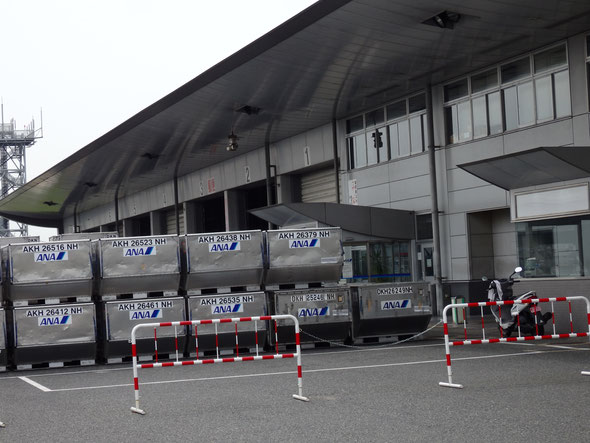 福岡県手乗りインコ小鳥販売店ペットショップミッキン 福岡空港のANAの事務所から。