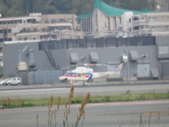 平成28年4月25日 福岡県手乗りインコ小鳥販売店ペットショップミッキン 福岡空港のヘリコプター