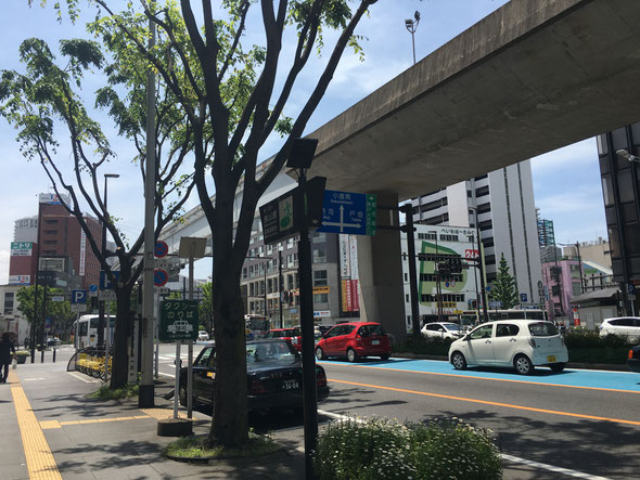 福岡県手乗りインコ小鳥販売店ペットミッキン　北九州市小倉北区にインコのお迎えに行ってきました。