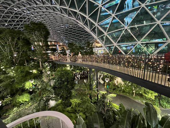 giardino tropicale all'interno dell'aeroporto di Doha