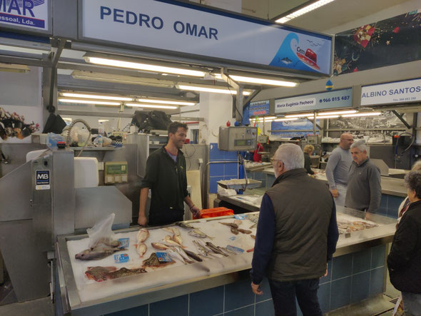 Pedro Omar, Fischhändler in Portimao, Markthalle Portimao, Fischmarkt, Fische, Fisch, Martins Kulinarium, Kulinarium Academy, Kochschule Algarve, Algarve, Carvoeiro, Portugal, Lagoa, Kochschule, Kochen, Fisch Kochen, Restaurant Martins Kulinarium