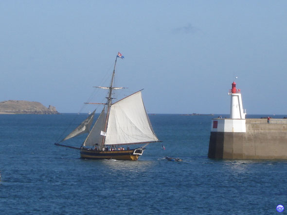 Renard passant le môle des noires à St Malo (© lebateaublog 2013)