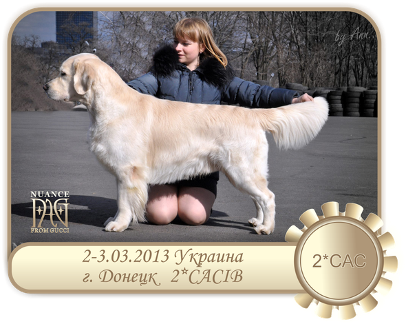 Nuance from GUCCI 'Nik' - 2*CAC on 2xCACIB dog show in Donetsk in Champion class!