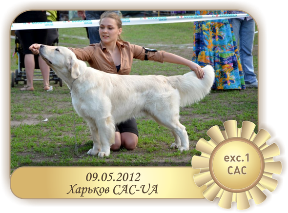 09.05.12 Харьков CAC-UA
