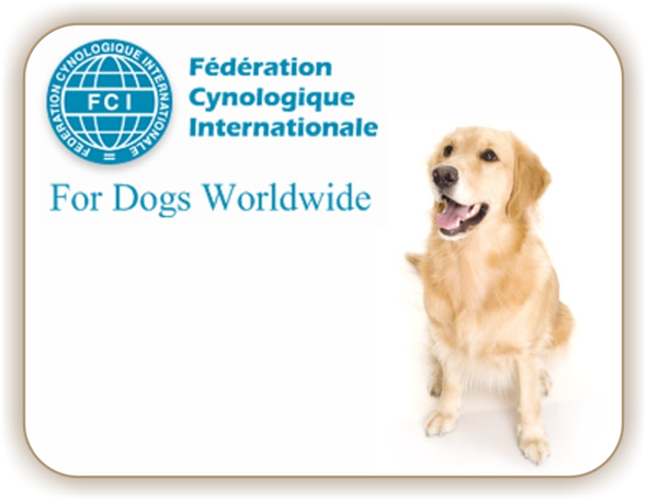 FCI опубликовала  новые правила  проведения  международных  выставок  собак