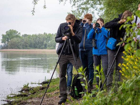 Gemeinsam die Vogelwelt des Bodensees entdecken - Foto: NABU/M. Pagel