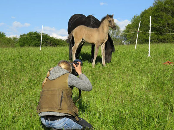 Sabine Stuewer bei der Arbeit