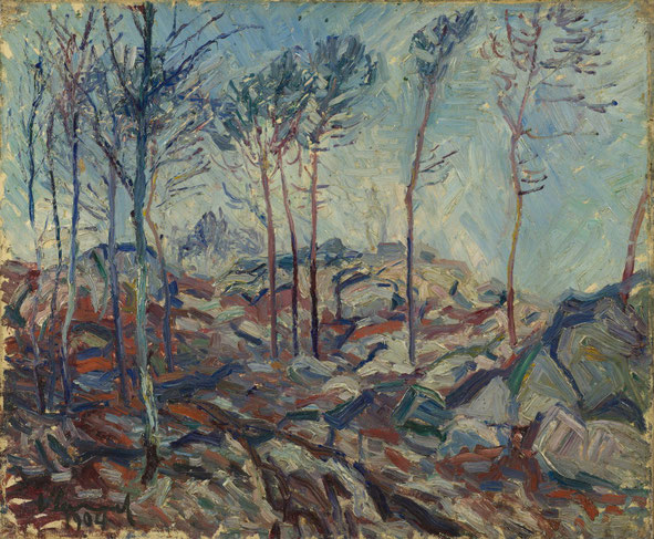 Karl Lang Archiv Büsingen Maurice de Vlaminck, Museum Allerheilgen Schaffhausen