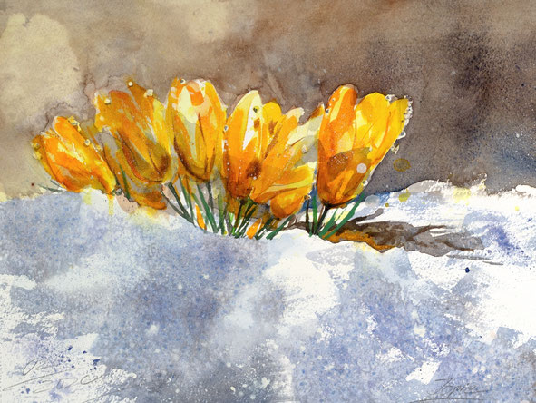 Wandbild Krokusse, Aquarell gemalt von Jopie Bopp, Querformat, Farbe Gelb, #Jopie #Krokusse #Blumenaquarell #Entspannung #Meditation
