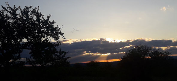 El atardecer es esa hora mágica, del paso de la luz a las penunbras, el comienzo de la noche, sólo iluminada por la luz de la luna