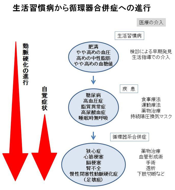 循環器内科とはどういう病気をみるのでしょうか Agata Clinic