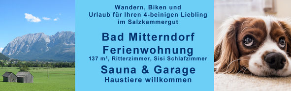 Urlaub mit Hund willkommen im Salzkammergut - ebenerdig gelegene Ferienwohnung mit Sauna & Garage in Bad Mitterndorf - Haustiere willkommen & beste Preise durch Direktbuchung