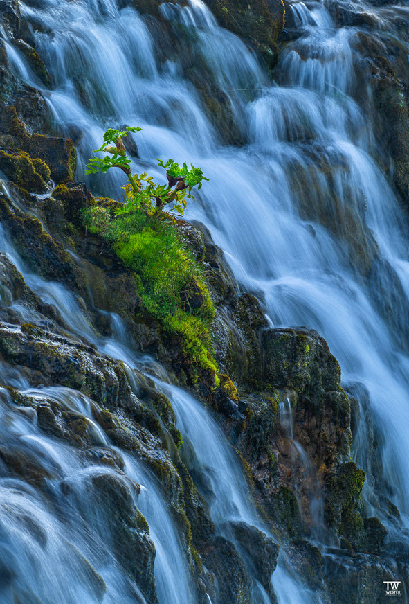 16 Zuächst nahm ich mir die Zeit, ein paar Details mit dem 600er Tele einzufangen…