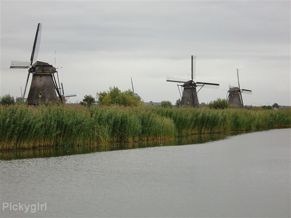 World Heritage in Kinderdijk
