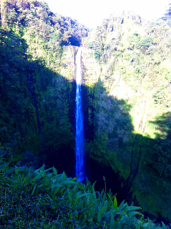 Staying next to the Akaka Falls on Big Island and being able to explore them before all the tourists arrive.