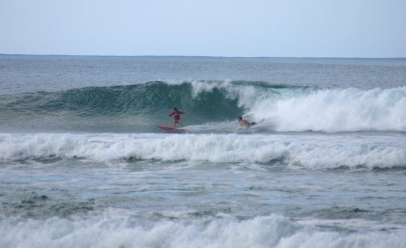 surfing, rincon, antonio's