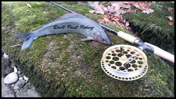 Drill Point Fishing Onlineshop Angelruten & Angelrollen, Produktangebote Zapfenruten, Matchruten, Fischerruten, Steckrute, Posenrute, usw. Jetzt eine Angelrute zum Zapfenfischen günstig online kaufen! 