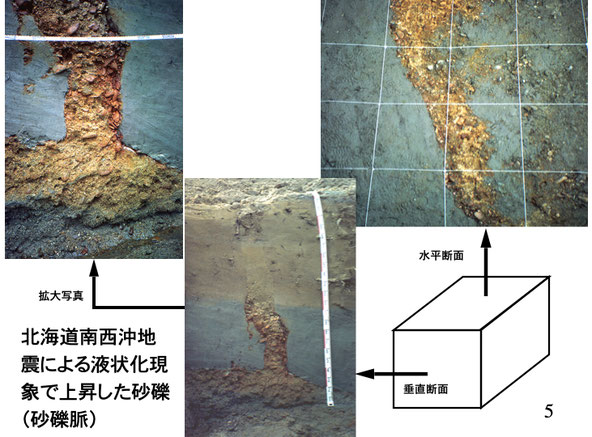 写真2　今金町豊田橋付近のトレンチ断面に現れた礫を含む砂脈(遠藤，2017）