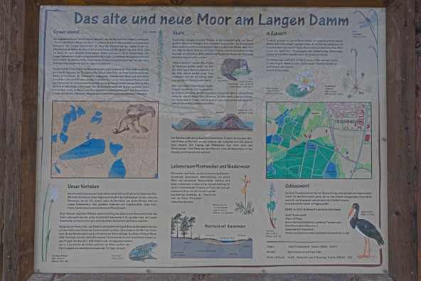 Wir informieren vor Ort mit einer Schautafel zum Moor am Langen Damm. Foto: Roland Bönisch