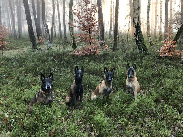 Unsere fantastischen Vier