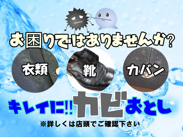 カビ落とし,衣類,靴,カバン