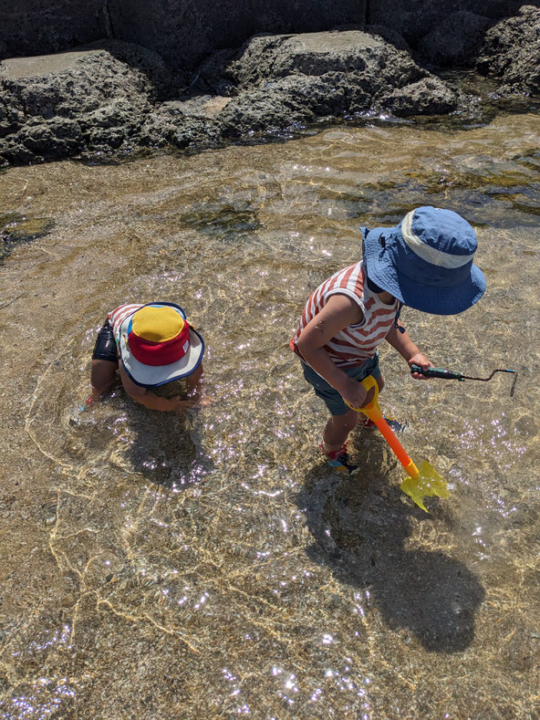 浅瀬で遊ぶ2人の子ども