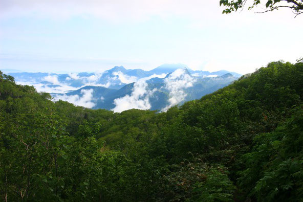 夕張岳望岳台