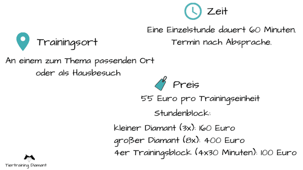 Grafisches Element mit zusammengefassten Informationen zum Trainingsort, zur Dauer der Hundetrainingseinheit und zu weiteren Rahmenbedingungen der Einzelstunde beim österreichischen Unternehmen Tiertraining Diamant