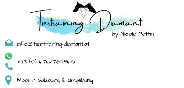 Grafik der Kontaktmöglichkeiten der Hundeschule Tiertraining Diamant mit E‑Mail‑Adresse, Telefonnummer und Homebase in Salzburg Stadt