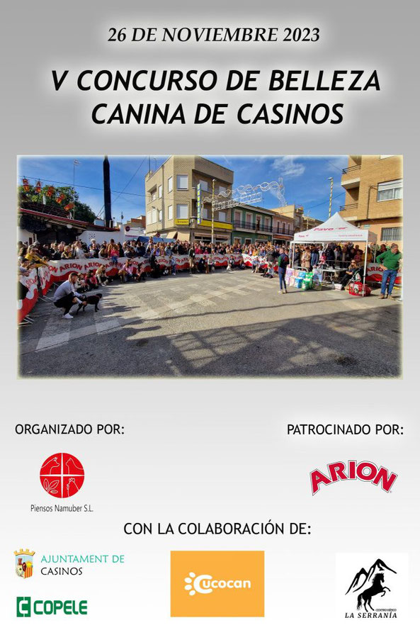 Programa de la Feria del Dulce Artesano de Casinos