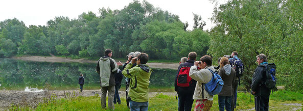 Vogelexkursion in den Rheinauen, Foto: A. Treffer