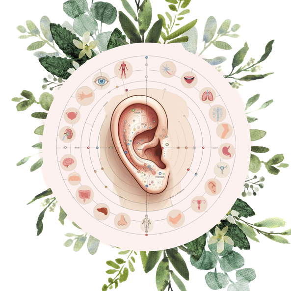 reflexologie auriculaire