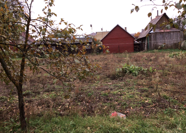 Garten im Sommer 2015 (bevor es für das Kindertageszentrum genutzt wurde)